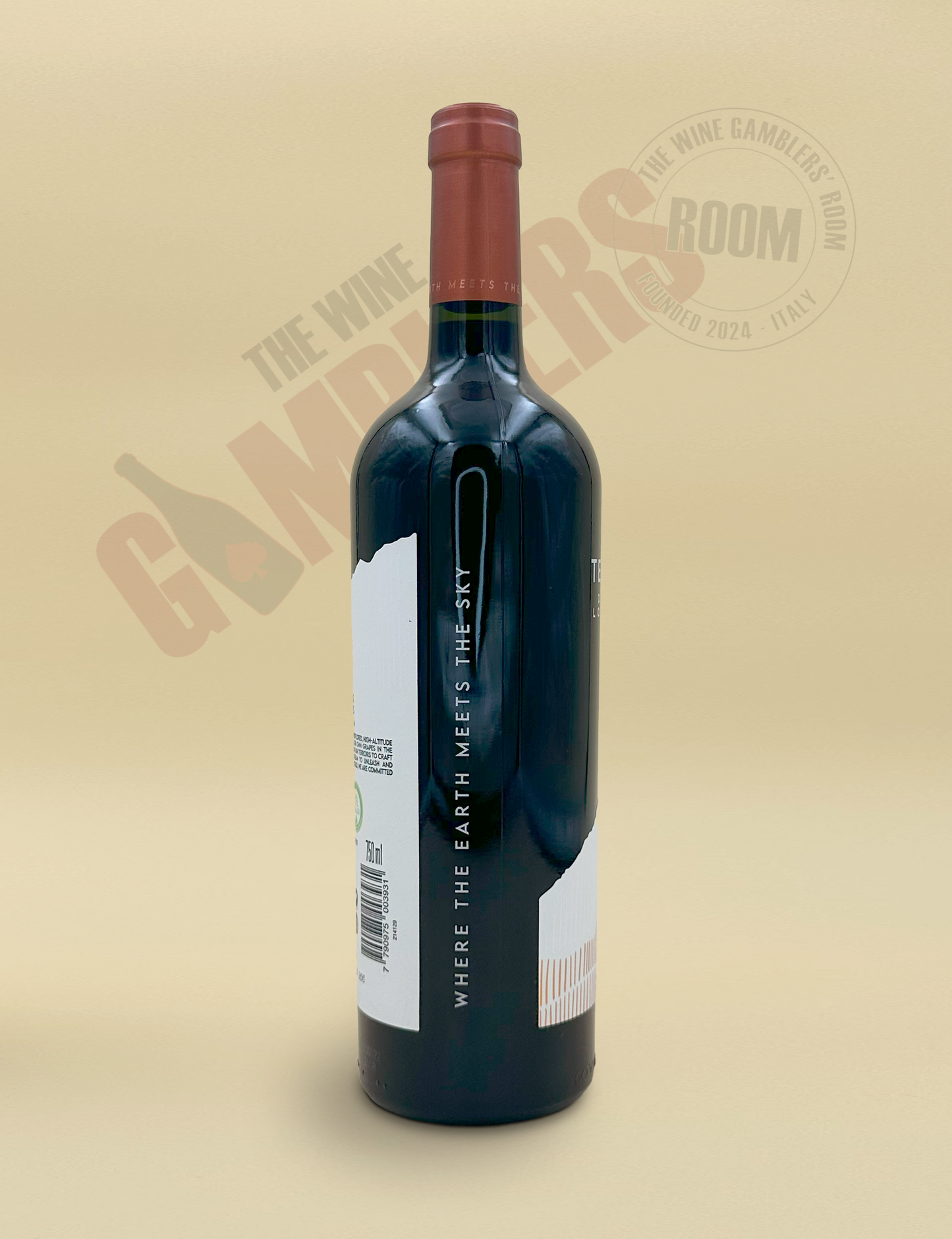 Terrazas de los Andes - Malbec