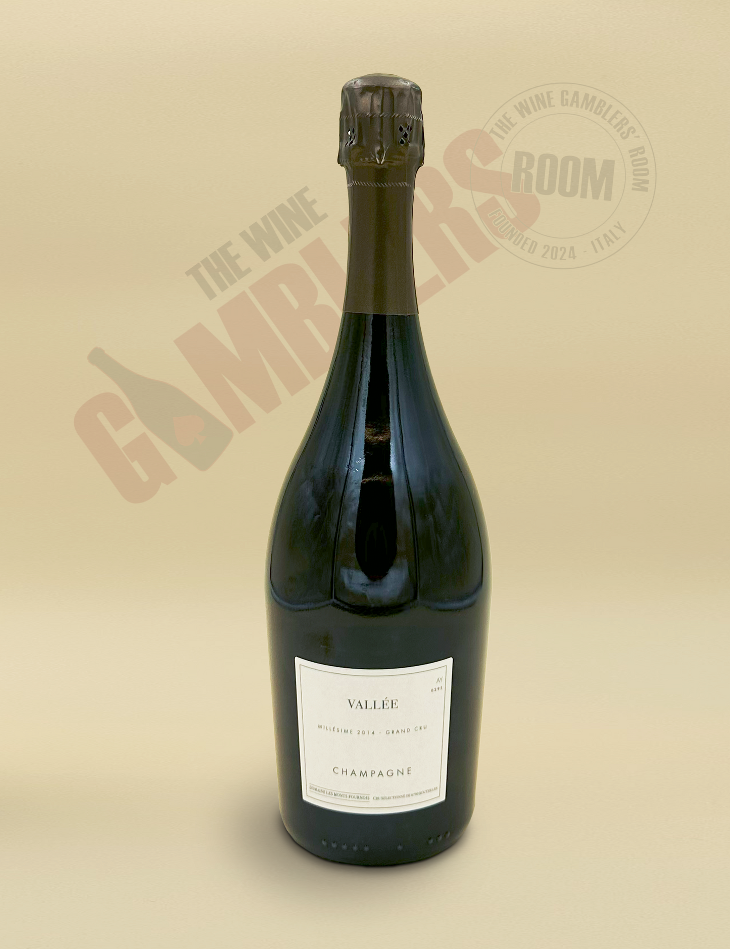 Champagne Domaine Les Monts Fournois (Béreche) - Vallée Ay Grand Cru Extra Brut