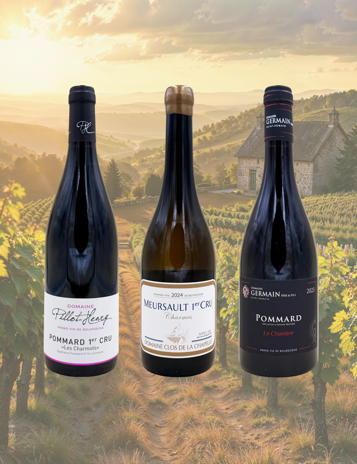 Box Borgogna Rarity — Pommard & Meursault