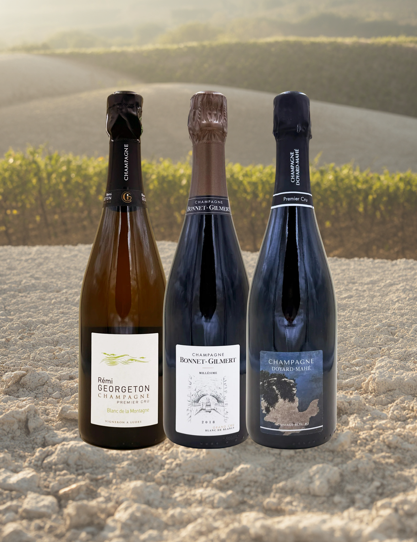 Box The Chardonnay Champagne Trilogy
