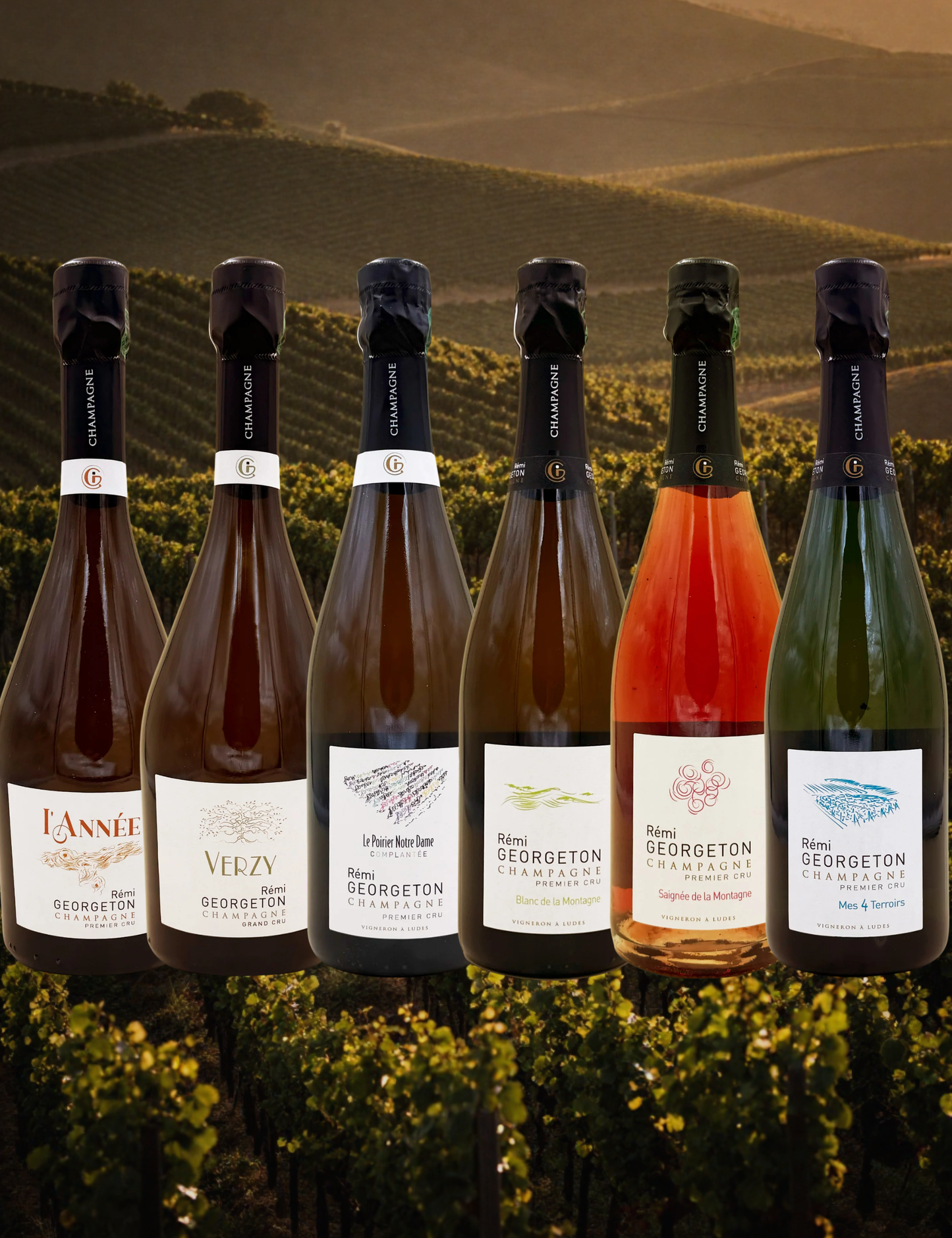 Champagne Georgeton Full Box