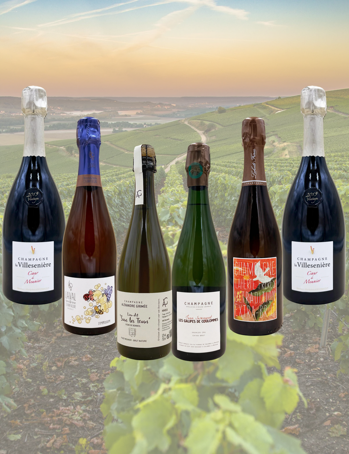 BOX 6 CHAMPAGNE — MEUNIER LOVERS