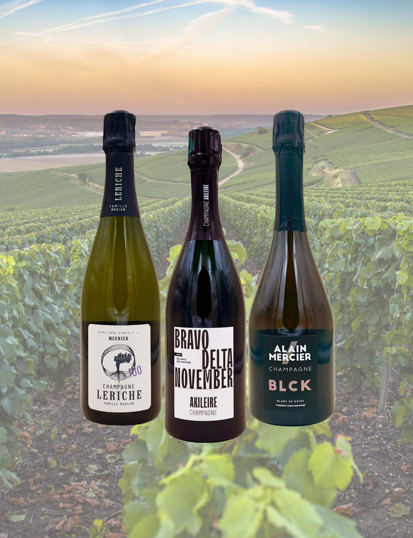 Box 3 Best Price Champagne