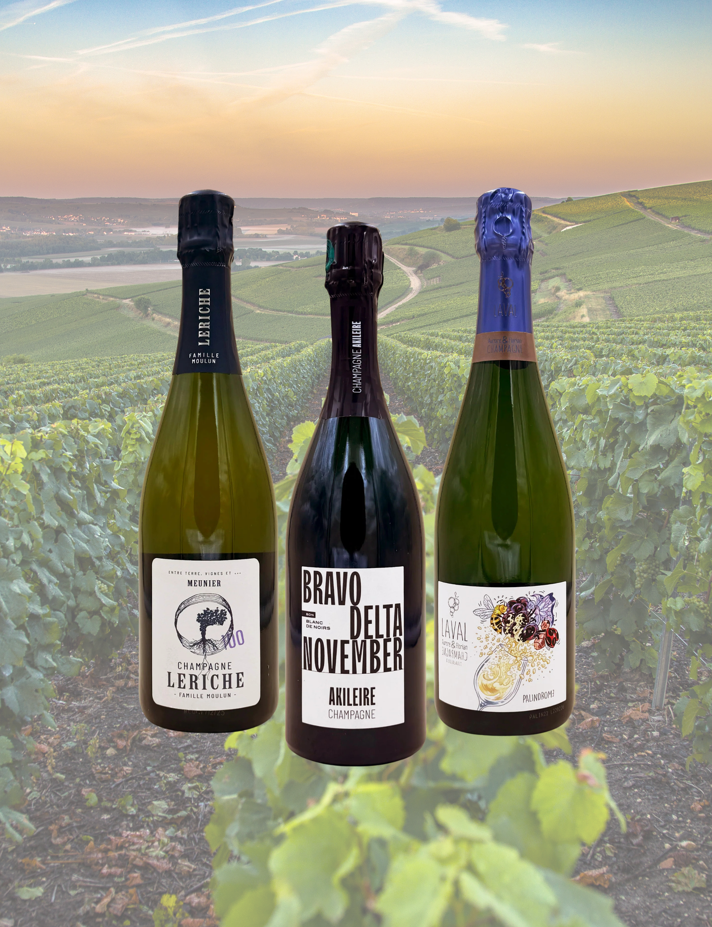 Box 3 Top Champagne Zero Pensieri!