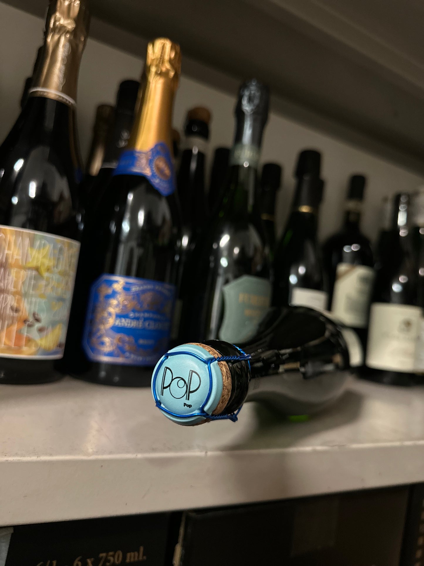 AMProject - POP Temporary wine 2023