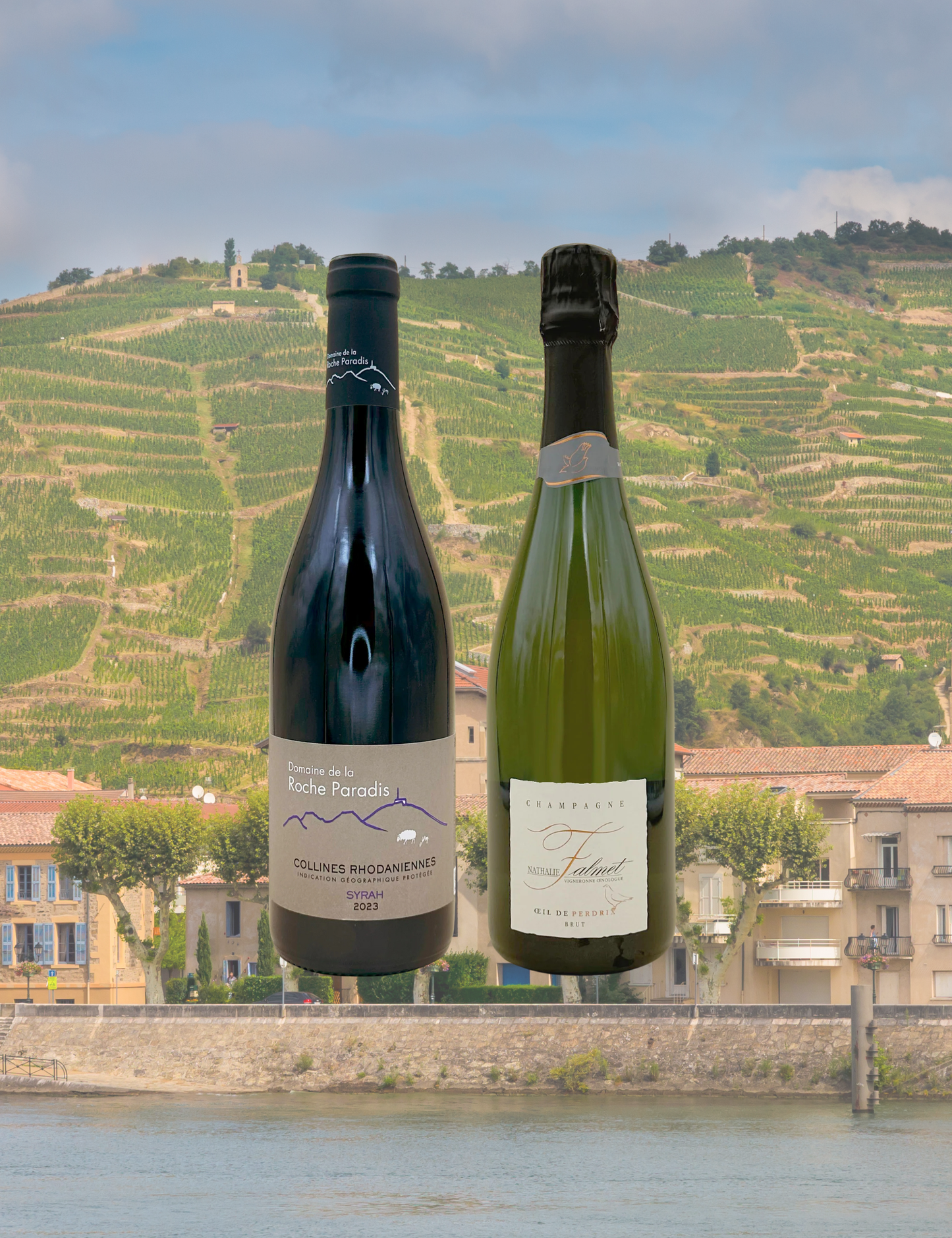 Box Anime del Sud e del Nord