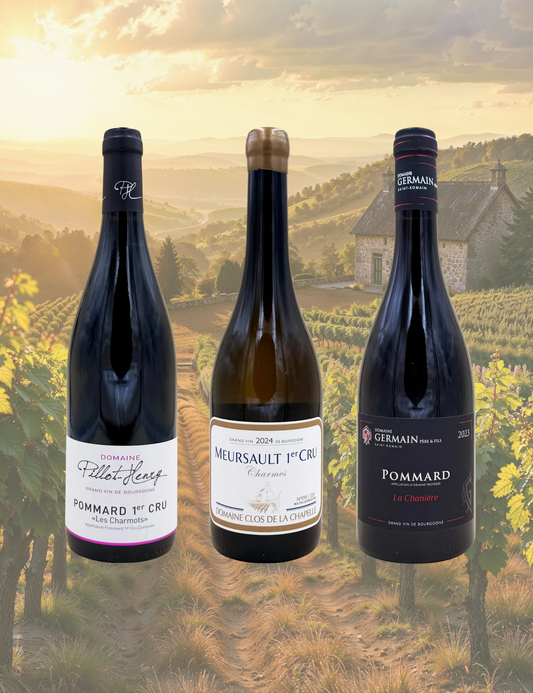 Burgundy Rarity Box — Pommard & Meursault