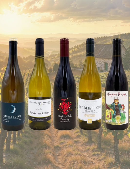 Burgundy Box Under 50 — 5 Wines Selected by Lossidato