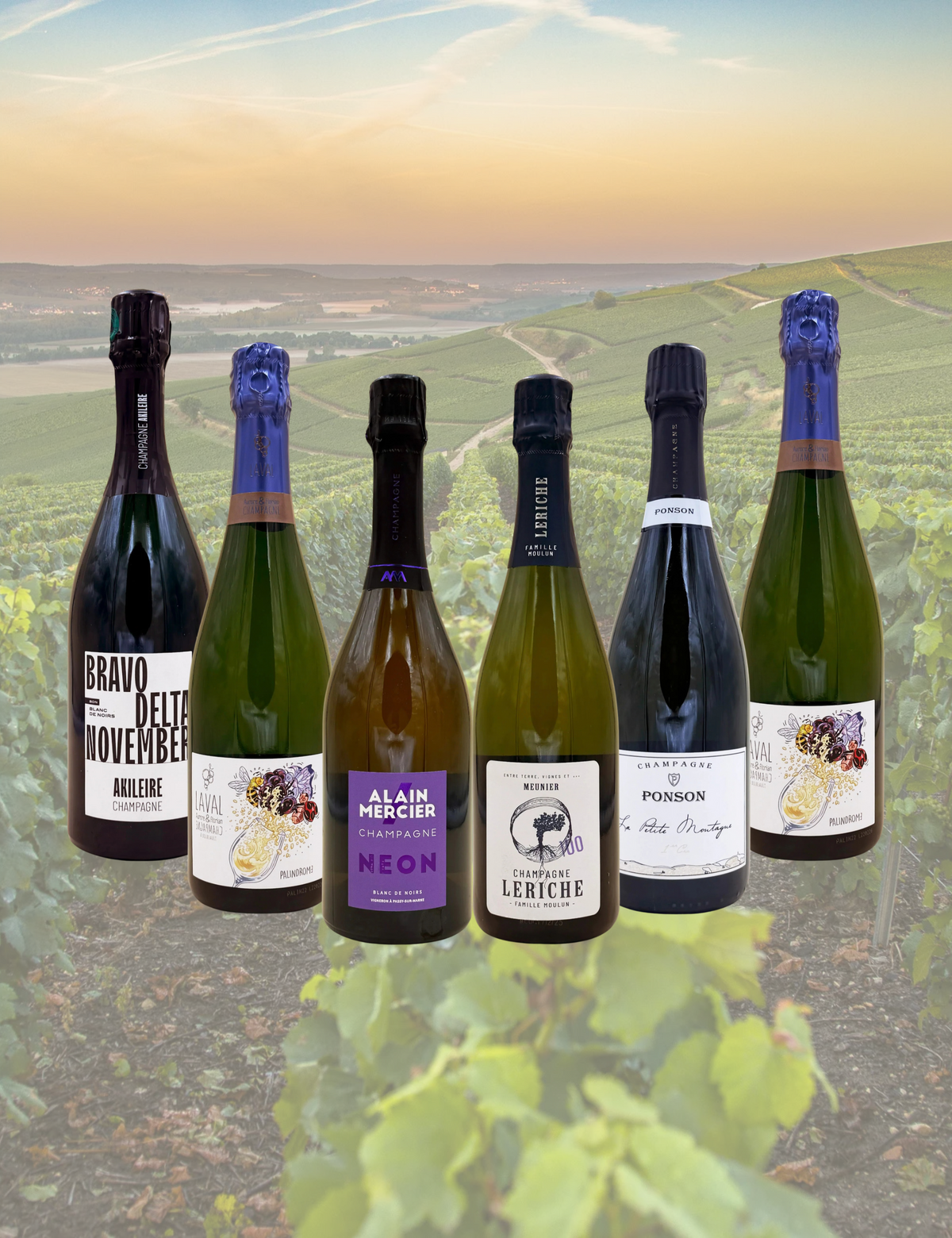BOX 6 CHAMPAGNE — 5 PRODUTTORI SOTTO I 50 €