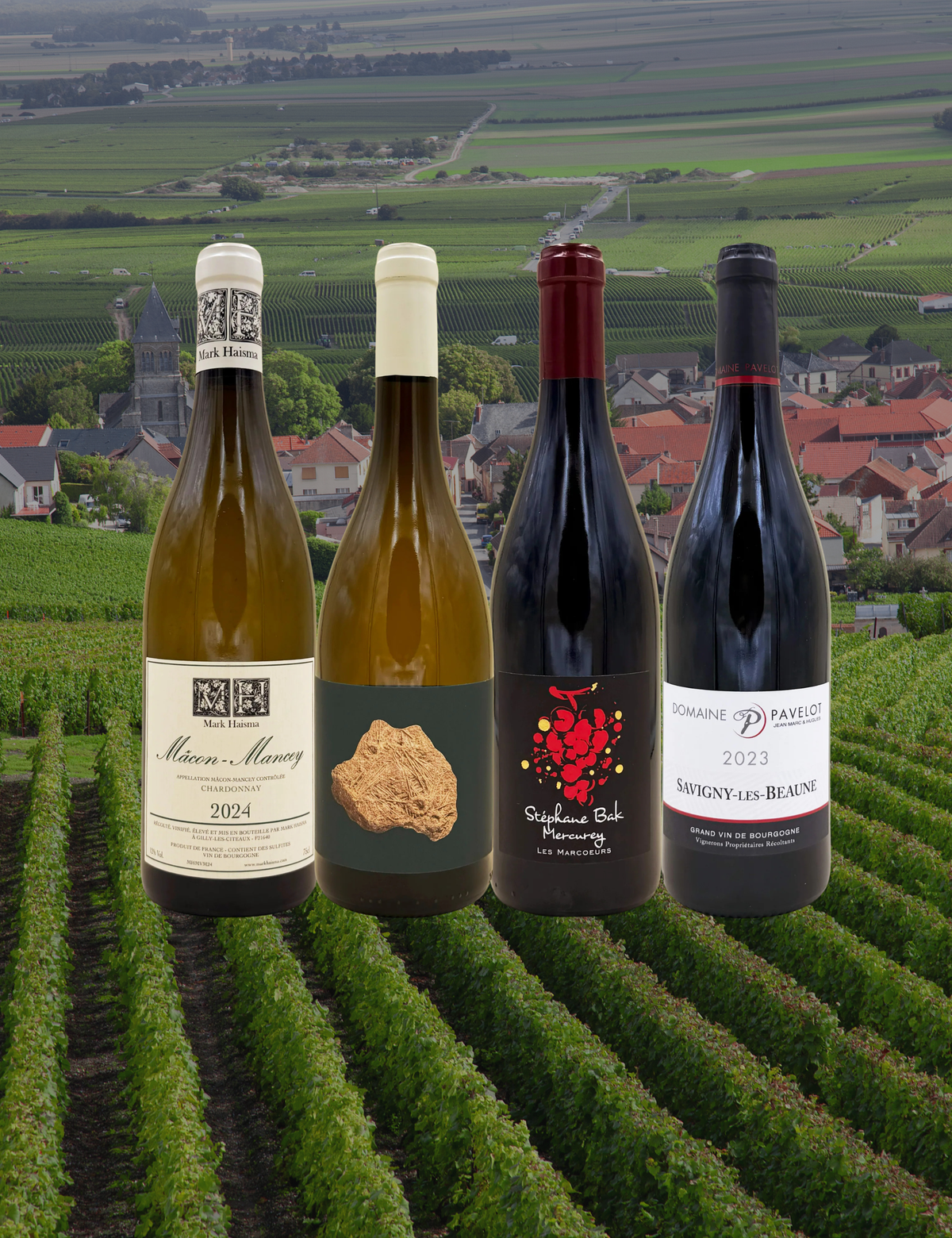 Box für den Einstieg in die Welt des Burgunders