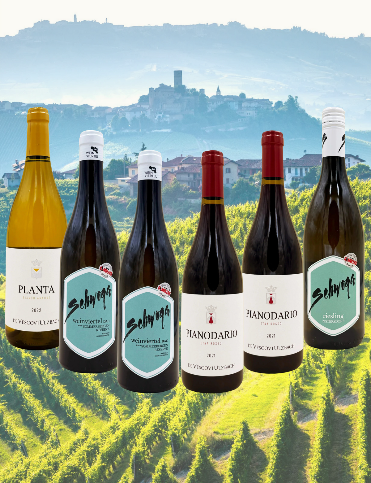Box Le Esclusive de Lossidato — 4 vini da scoprire