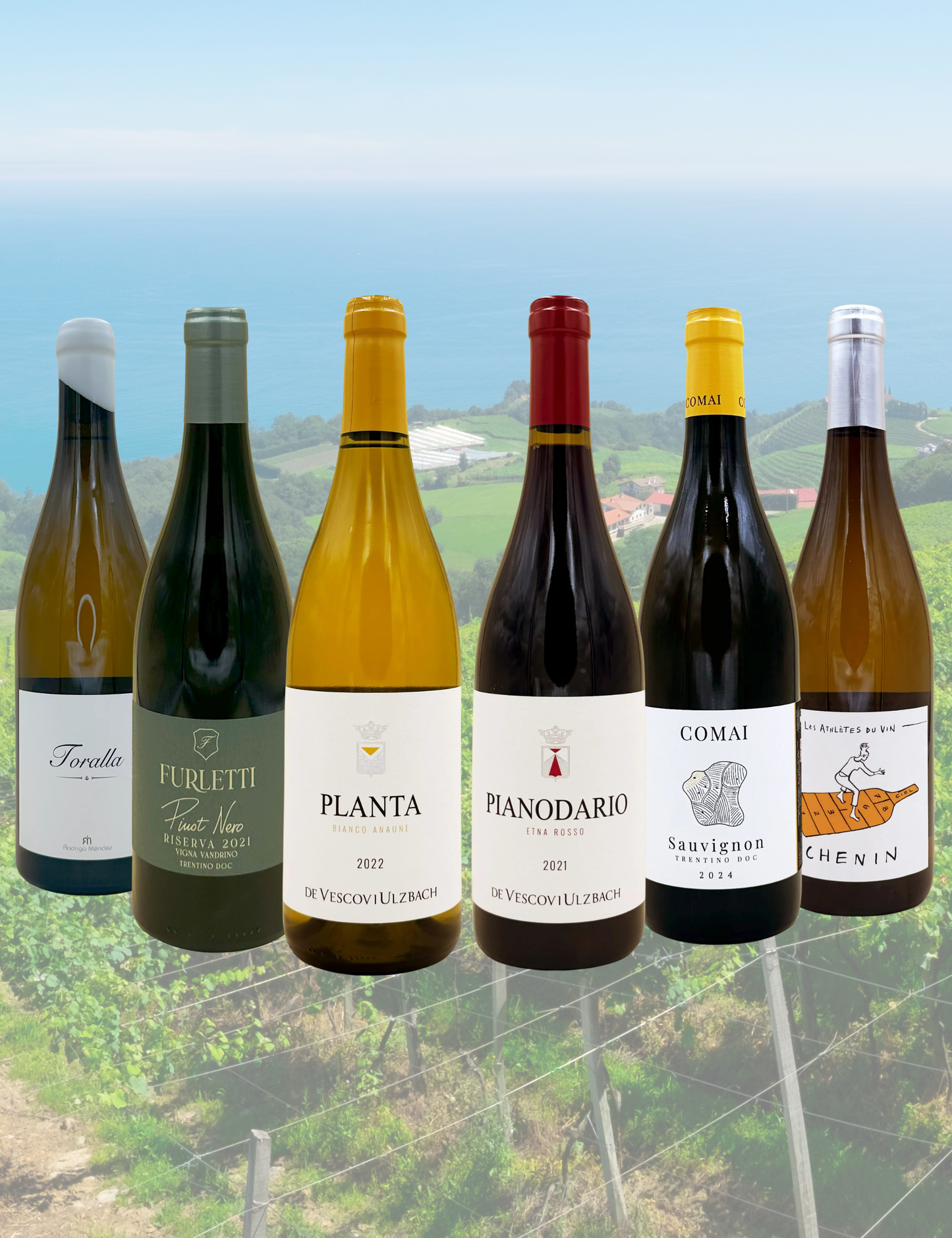 Box Vini Fermi 6 bottiglie - Origini