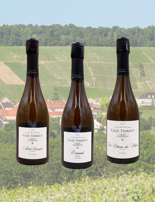 Box Champagne - Blanc de Blancs Collection