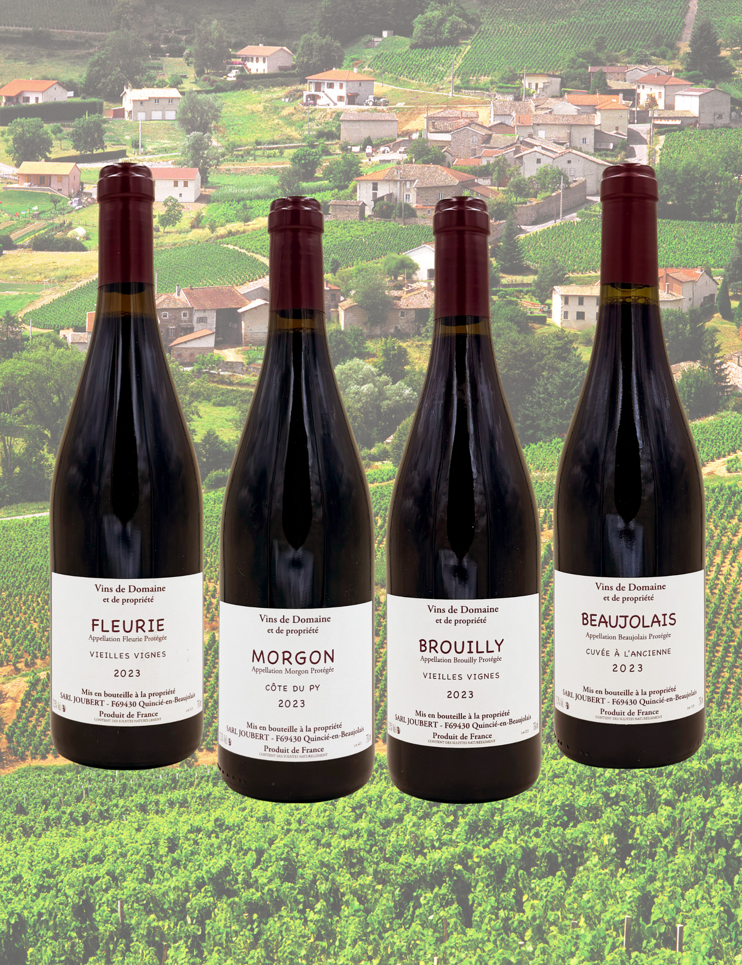 Alla scoperta del Beaujolais – Domaine Joubert
