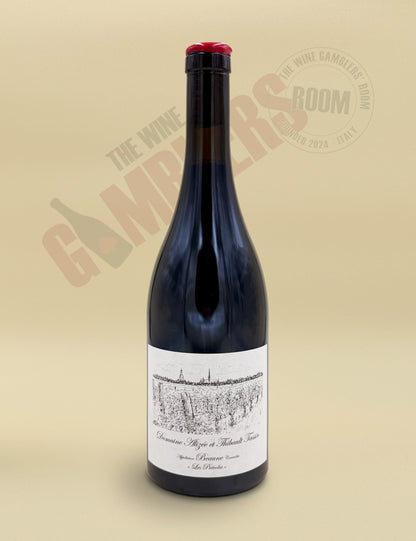 Domaine Alizée et Thibault Tassin – Beaune Les Prévoles 2023