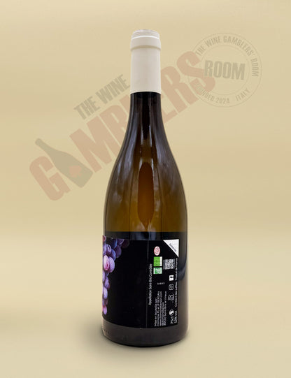 Domaine Pierre-Louis Bersan - Saint-Bris Fyé Gris 2024