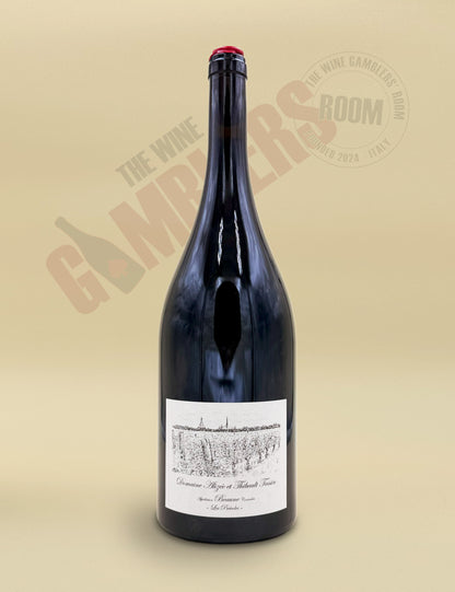 Domaine Alizée et Thibault Tassin – Beaune Les Prévoles 2023 Magnum