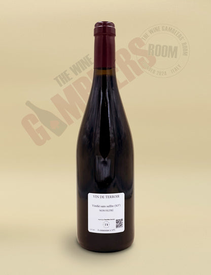 Domaine Joubert - Beaujolais Morgon "La Cote du Py" 2023