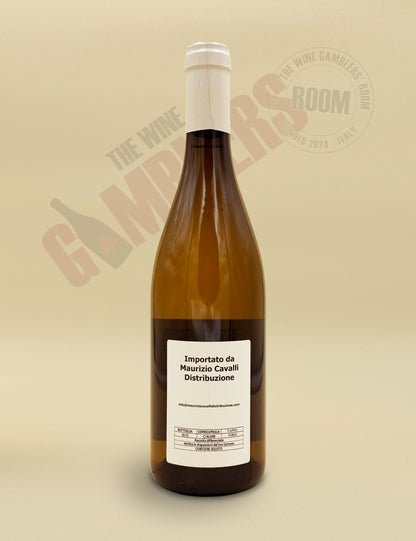 Mark Haisma - Chassagne-Montrachet 2023