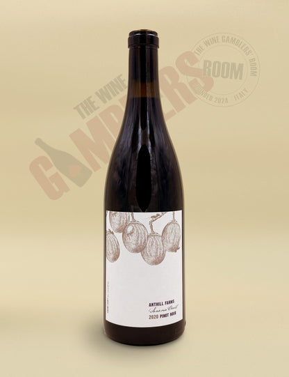 Anthill Farms Winery - Peters Vineyard Pinot Noir Sonoma Coast 2020