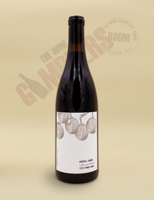 Anthill Farms Winery - Peters Vineyard Pinot Noir Sonoma Coast 2020