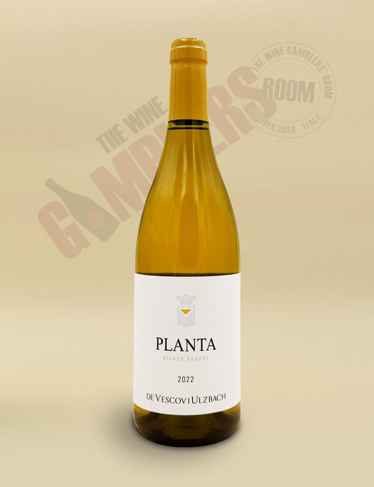 De Vescovi Ulzbach - Planta Bianco Anaune Vigneti delle Dolomiti IGT 2022