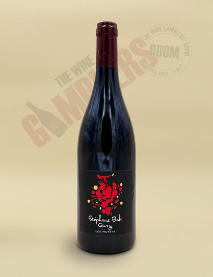 Stéphane Bak - Givry Les Mureys 2024