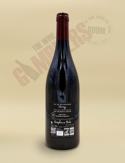 Stéphane Bak - Givry Les Mureys 2024