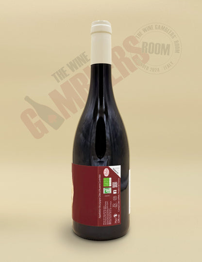 Domaine Pierre-Louis Bersan - Cotes d'Auxerre Rouge 2023