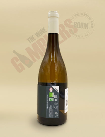 Domaine Pierre-Louis Bersan - Saint-Bris 2023