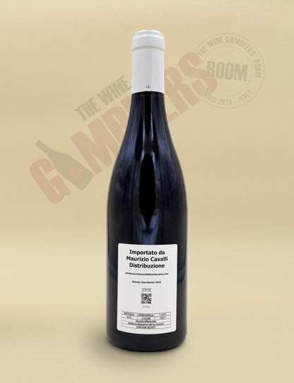 Mark Haisma - Gevrey-Chambertin 2024