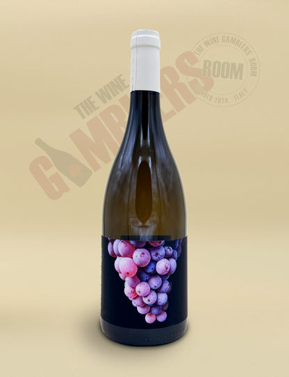 Domaine Pierre-Louis Bersan - Saint-Bris Fyé Gris 2023