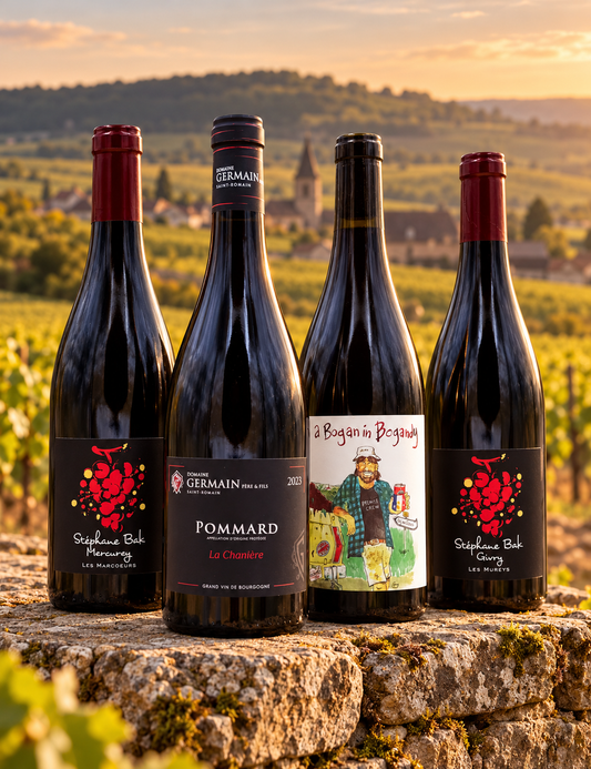 Burgund in Rot – 4 Pinot Noirs, 4 Interpretationen