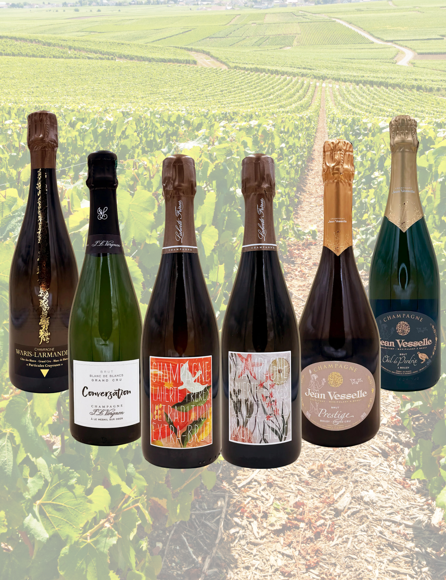 Box Champagne - Top Under 70