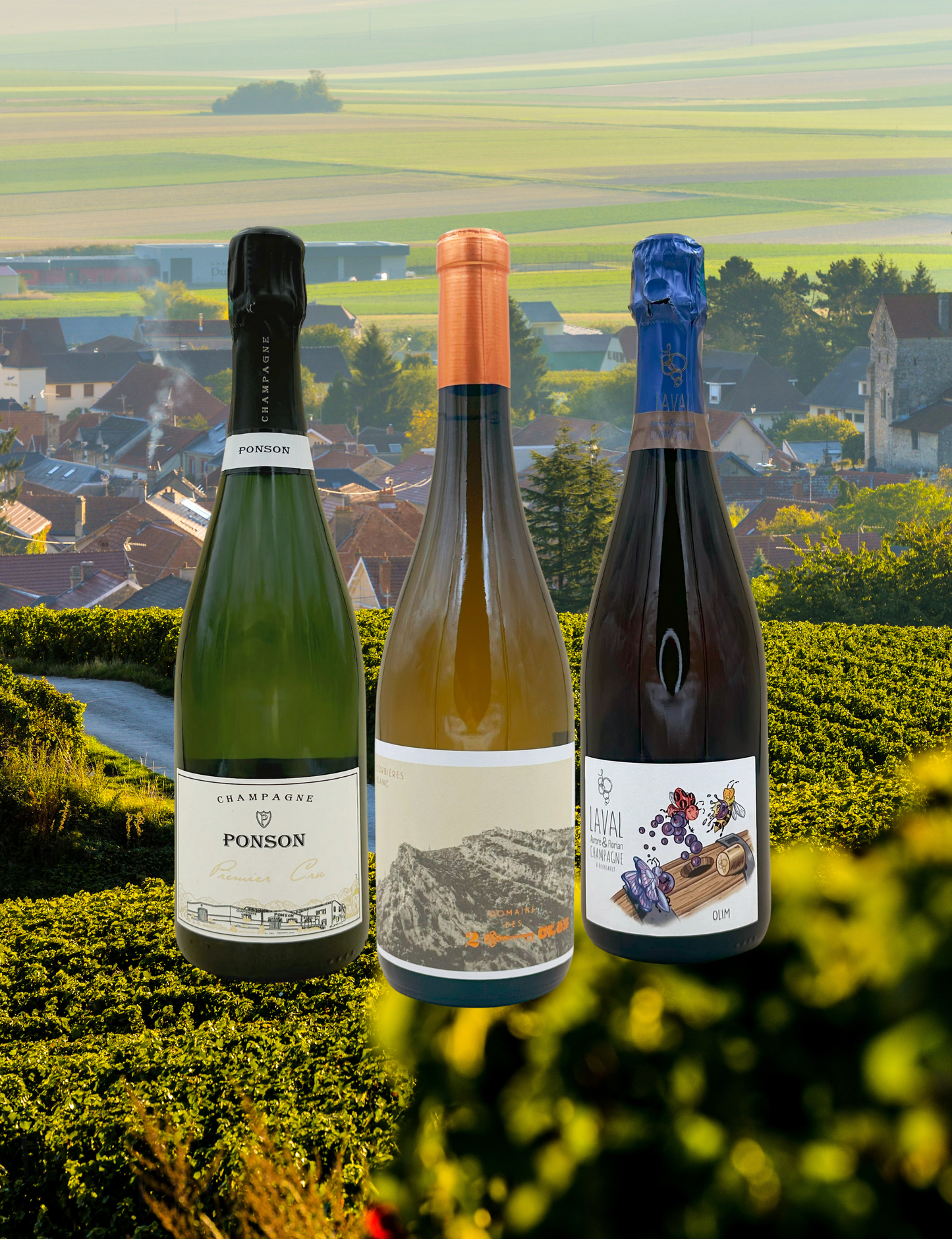 Box Éclat & Lumière